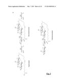 BIOCATALYTIC PRODUCTION OF GLYCOSIDES diagram and image