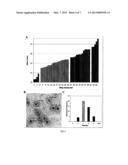 Protein Nanorings diagram and image