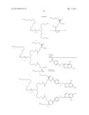 Protein Nanorings diagram and image