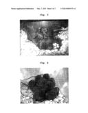 METHOD FOR PREPARING ES CELLS diagram and image