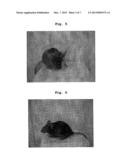 METHOD FOR PREPARING ES CELLS diagram and image