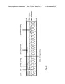 CELL-CULTURE-BAG diagram and image