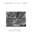 TEST PIECE FOR HEAVY METAL ION, PROCESS FOR DETECTING HEAVY METAL ION, KIT     AND SENSOR diagram and image