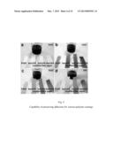 TEST PIECE FOR HEAVY METAL ION, PROCESS FOR DETECTING HEAVY METAL ION, KIT     AND SENSOR diagram and image