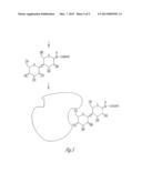 AFFINITY/LECTIN CHROMATOGRAPHY METHODS diagram and image