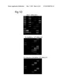 METHOD FOR EARLY DETECTION OF CANCER diagram and image