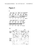 METHOD FOR PREDICTING THE RESPONSE OF A SUBJECT SUFFERING FROM A VIRAL     INFECTION OF THE LIVER TO AN ANTIVIRAL THERAPY diagram and image