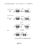 METHODS OF USING HUMAN PROTEIN KINASE C DELTA VIII AS A BIOMARKER diagram and image