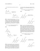 METHODS OF IDENTIFYING MODULATORS OF GPR17 diagram and image