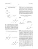 METHODS OF IDENTIFYING MODULATORS OF GPR17 diagram and image