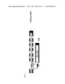 Pre-MRNA Trans-Splicing Molecule (RTM) Molecules and Their Uses diagram and image