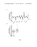 METHODS AND COMPOSITIONS FOR INFLUENCING TUMORS USING MICRORNA-185 AS A     TUMOR SUPPRESSOR diagram and image