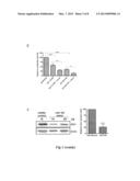 METHODS AND COMPOSITIONS FOR INFLUENCING TUMORS USING MICRORNA-185 AS A     TUMOR SUPPRESSOR diagram and image