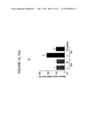 HYDROXYTYROSOL BENEFITS MUSCLE DIFFERENTIATION AND MUSCLE CONTRACTION AND     RELAXATION diagram and image