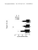 HYDROXYTYROSOL BENEFITS MUSCLE DIFFERENTIATION AND MUSCLE CONTRACTION AND     RELAXATION diagram and image