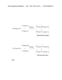 Poly(Ester Amide) Macromers and Polymers Thereof diagram and image