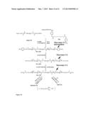 Poly(Ester Amide) Macromers and Polymers Thereof diagram and image