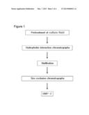 METHOD FOR PURIFYING BONE MORPHOGENETIC PROTEIN diagram and image