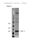 METHOD FOR PURIFYING BONE MORPHOGENETIC PROTEIN diagram and image