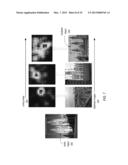 OBJECT RETRIEVAL AND LOCALIZATION USING A SPATIALLY-CONSTRAINED SIMILARITY     MODEL diagram and image