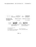 GREEN SYNTHESIS NANOCOMPOSITE MEMBRANES diagram and image