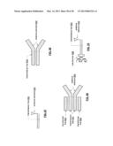 ADJUSTABLE INTEGRATED CIRCUIT ANTENNA STRUCTURE diagram and image