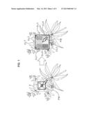 IMAGE PROCESSING APPARATUS, METHOD AND PROGRAM diagram and image