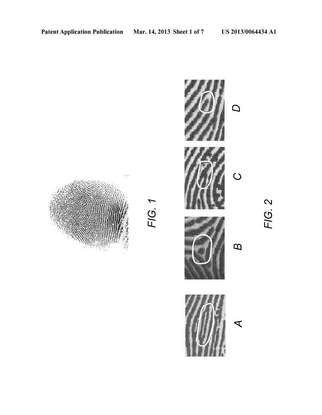 BIOMETRIC FEATURE EXTRACTION USING MULTIPLE IMAGE INSTANTIATIONS - diagram, schematic, and image 02