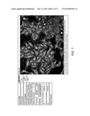 Methods and Apparatus for Fast Identification of Relevant Features for     Classification or Regression diagram and image