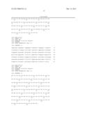 ANTI-ICAM-1 SINGLE DOMAIN ANTIBODY AND USES THEREOF diagram and image