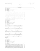 ANTI-ICAM-1 SINGLE DOMAIN ANTIBODY AND USES THEREOF diagram and image