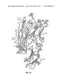 IL-17 FAMILY CYTOKINE COMPOSITIONS AND USES diagram and image