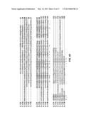 IL-17 FAMILY CYTOKINE COMPOSITIONS AND USES diagram and image