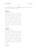 IL-17 FAMILY CYTOKINE COMPOSITIONS AND USES diagram and image