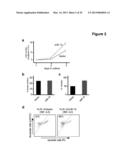 Methods and Compositions for the Detection and Treatment of Cancer     involving miRNAs and miRNA Inhibitors and Targets diagram and image