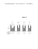 Methods and Compositions for the Detection and Treatment of Cancer     involving miRNAs and miRNA Inhibitors and Targets diagram and image