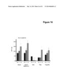 Methods and Compositions for the Detection and Treatment of Cancer     involving miRNAs and miRNA Inhibitors and Targets diagram and image