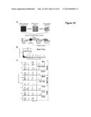 Methods and Compositions for the Detection and Treatment of Cancer     involving miRNAs and miRNA Inhibitors and Targets diagram and image