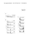 Methods and Compositions for the Detection and Treatment of Cancer     involving miRNAs and miRNA Inhibitors and Targets diagram and image