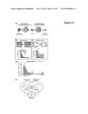 Methods and Compositions for the Detection and Treatment of Cancer     involving miRNAs and miRNA Inhibitors and Targets diagram and image