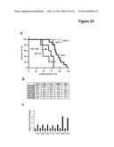 Methods and Compositions for the Detection and Treatment of Cancer     involving miRNAs and miRNA Inhibitors and Targets diagram and image