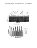 COMBINATION THERAPIES FOR HEMATOLOGIC MALIGNANCIES diagram and image