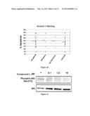 COMBINATION THERAPIES FOR HEMATOLOGIC MALIGNANCIES diagram and image