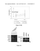 COMBINATION THERAPIES FOR HEMATOLOGIC MALIGNANCIES diagram and image