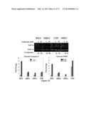 COMBINATION THERAPIES FOR HEMATOLOGIC MALIGNANCIES diagram and image