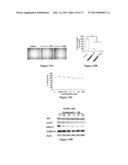 COMBINATION THERAPIES FOR HEMATOLOGIC MALIGNANCIES diagram and image