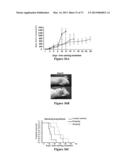 COMBINATION THERAPIES FOR HEMATOLOGIC MALIGNANCIES diagram and image