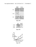 COMBINATION THERAPIES FOR HEMATOLOGIC MALIGNANCIES diagram and image