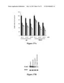 COMBINATION THERAPIES FOR HEMATOLOGIC MALIGNANCIES diagram and image