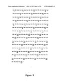 Protein Belonging to the TNF Superfamily Involved in Signal Transduction,     Nucleic Acids Encoding Same and Methods of Use Thereof diagram and image